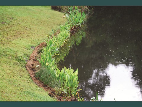 11Wetland Carpet Installed