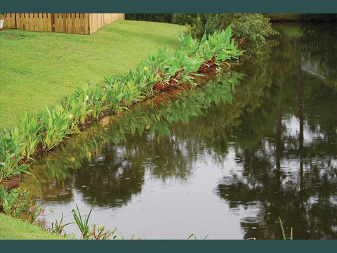 14Wetland Carpet Installed