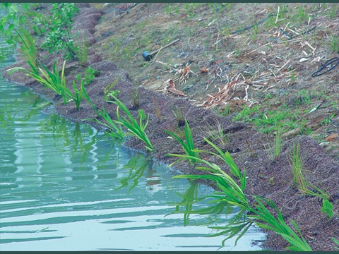 4Installation of wetland carpet