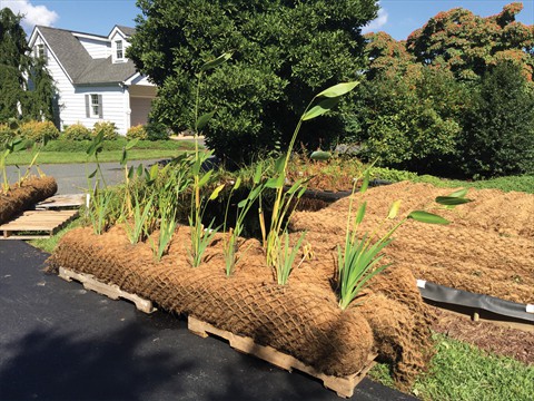 Coir Logs1